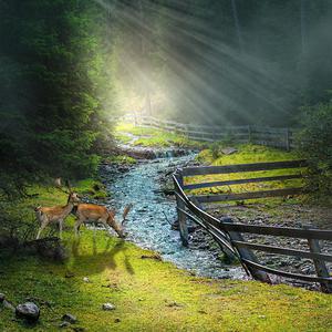 秋霞影院鲁丝片
